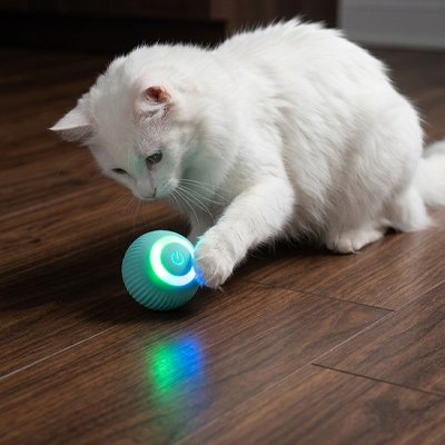 Balle interactive chat roule toute seule