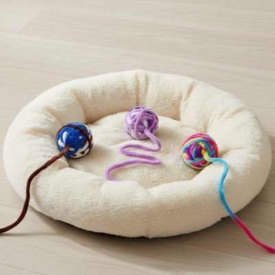 Balle pour chat | Interactive - Chatjoue