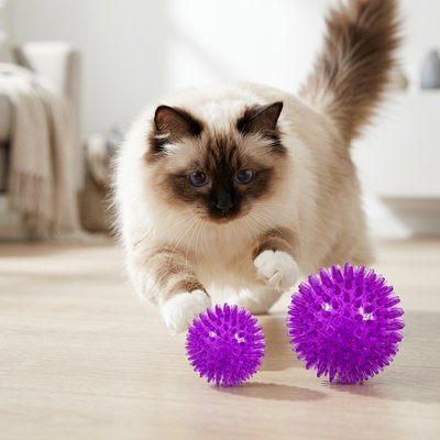 Balle pour chat couleur mauve avec picots