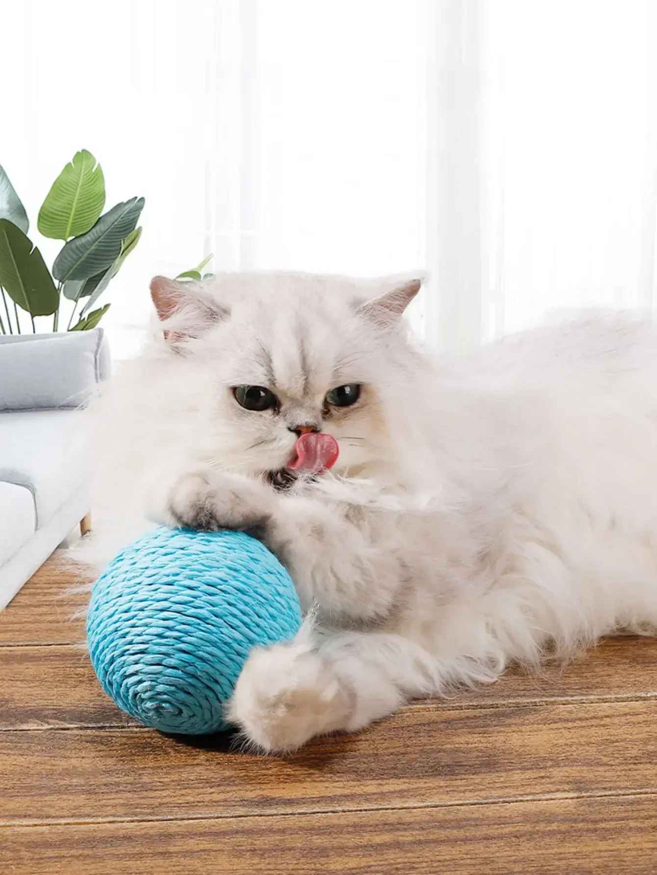 Balle pour chat en sisal de belle taille | Interactive - Chatjoue