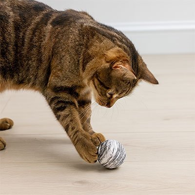 Balle pour Chat Silencieuse - Jouet Sans Bruit pour Appartement | Chatjoue - Chatjoue