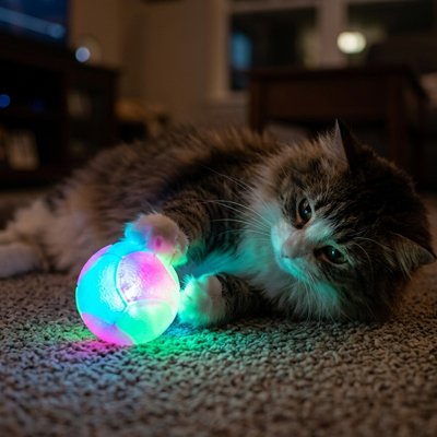 Balle pour chat existe en 2 tailles 5.5 cm et 7 cm