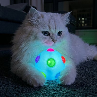 Balle pour chat idéal pour tous les chats joueurs