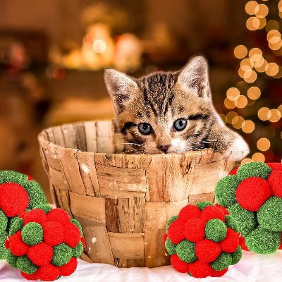 Balle pour Chat - JingleChase™ - Vert Rouge - Chatjoue