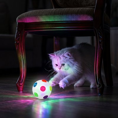Balle pour chat lumineuse pendant 12 secondes