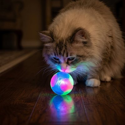 Balle pour chat lumineuse