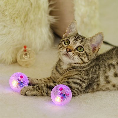 Balle pour chat stimulante | Interactive - Chatjoue