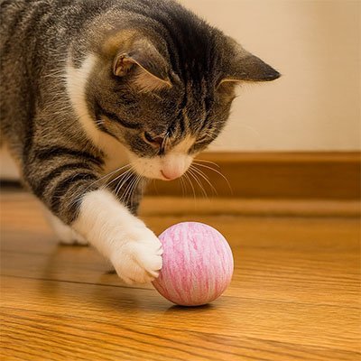 Balle pour Chat Silencieuse - Jouet Sans Bruit pour Appartement | Chatjoue - Chatjoue