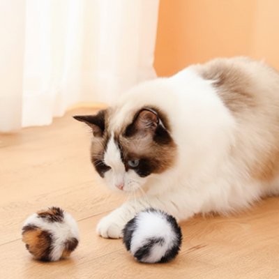 Balle pour chat accessoire indispensable | sans bruit| Chajoue - Chatjoue
