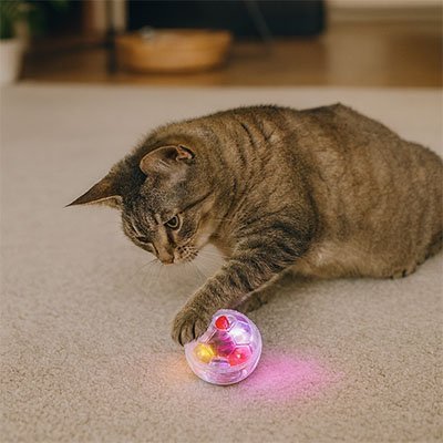 Balle pour chat stimulante | Interactive - Chatjoue