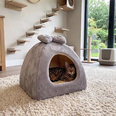 bengal couché dans Maison pour chat installée dans salle jeux 