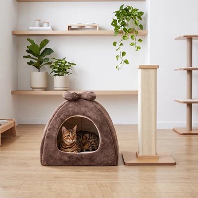bengal installé dans Niche pour Chat près griffoir
