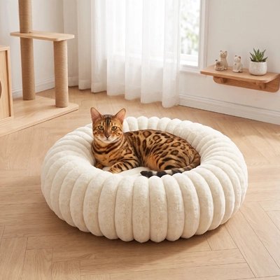 bengal sur Coussin pour Chat dans salon