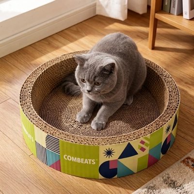 chartreux assis dans Griffoir Chat carton rond devant fenêtre