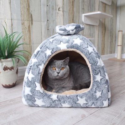 chartreux couché dans Maison pour chat gris étoilé