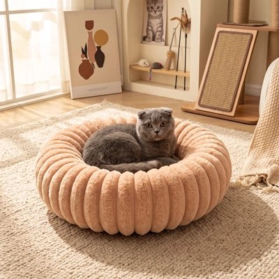 chartreux couché sur Coussin pour Chat marron dans salon