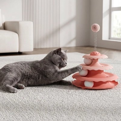 chartreux joue avec Jouet pour Chat dans salon