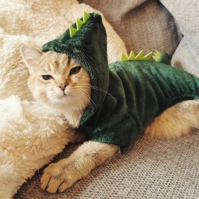 chat allongé sur canapé avec Déguisement pour Chat dragon 