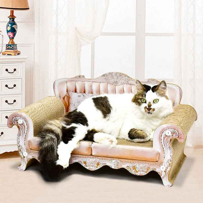chat allongé sur canapé pour chat dans chambre