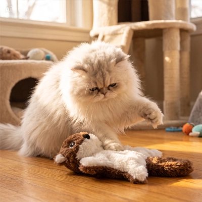 chat angora saute sur Jeux pour Chat marron 