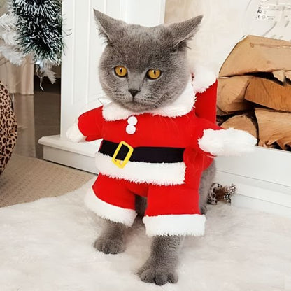 chat assis avec Déguisement pour chat Noël sur tapis blanc