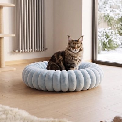 chat assis dans Coussin pour Chat bleu devant fenêtre