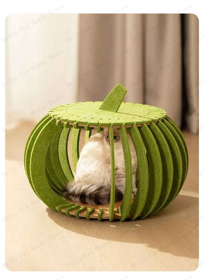 chat assis dans maison pour chat verte