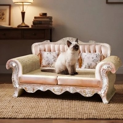 chat assis sur Canapé pour chat dans salon