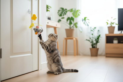 Chat avec jouet JumpPaw 3