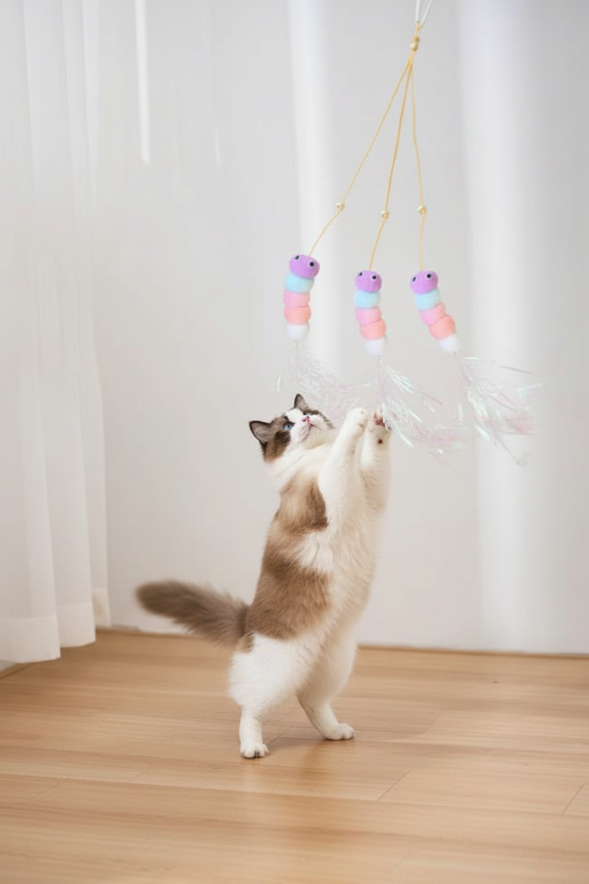 Chat avec JumpPaw Confetti porte