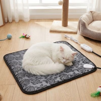 chat blanc angora sur Tapis pour chat chauffant près fenêtre