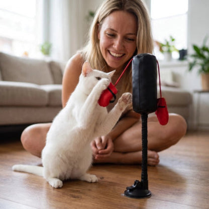 chat blanc frappe Jouet Chat sac et gants de boxe