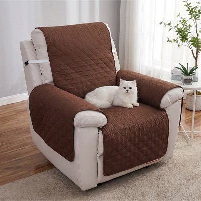 chat blanc Protection canapé Chat café fauteuil crème 