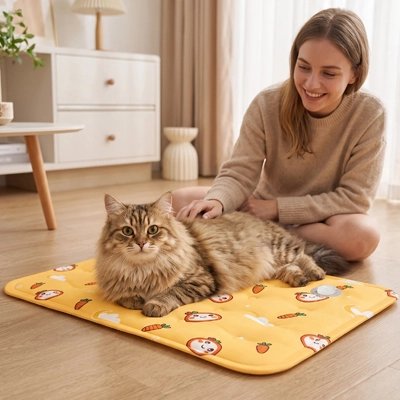 chat caressé par femme sur Tapis rafraichissant Chat dans salon