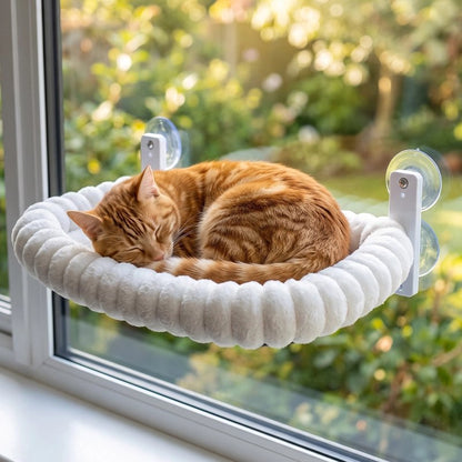 chat couché dans Hamac pour Chat blanc sur baie vitrée
