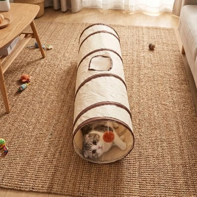 chat couché dans Tunnel pour Chat devant canapé