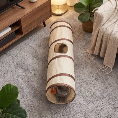 chat couché dans Tunnel pour Chat droit au salon