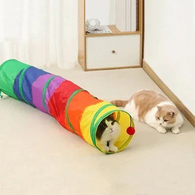 chat couché près Tunnel pour chat avec autre chat dedans