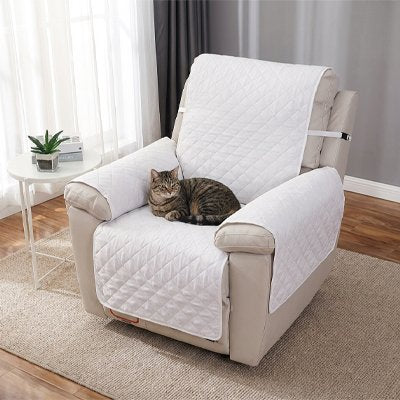 chat couché Protection canapé Chat blanc fauteuil crème devant fenêtre