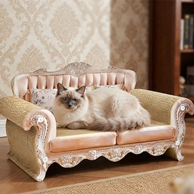 chat couché sur Canapé pour chat 