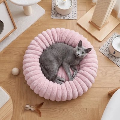 chat couché sur Coussin pour Chat rose salle de jeux 