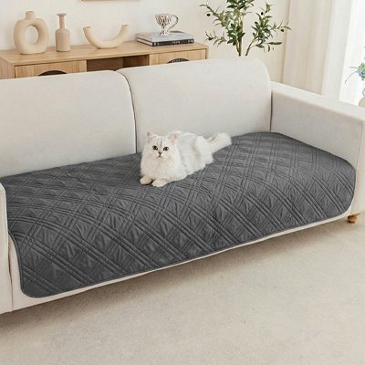 chat couché sur Protection canapé Chat gris anthracite 