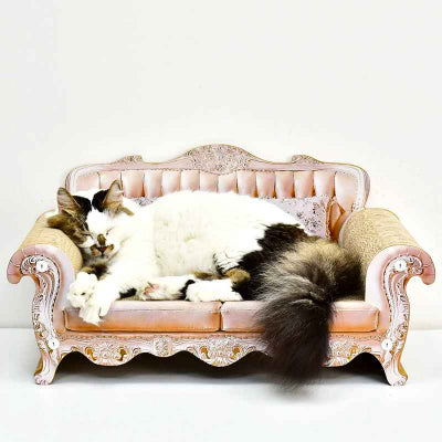 chat dort sur canapé pour chat baroque