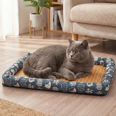 chat gris couché sur Tapis rafraichissant Chat bleu