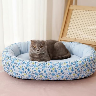 chat gris dans Coussin pour chat devant fenêtre