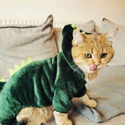 chat habillé avec Déguisement pour Chat dragon vert sur canapé