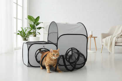 Chat jouant dans le tunnel pliable