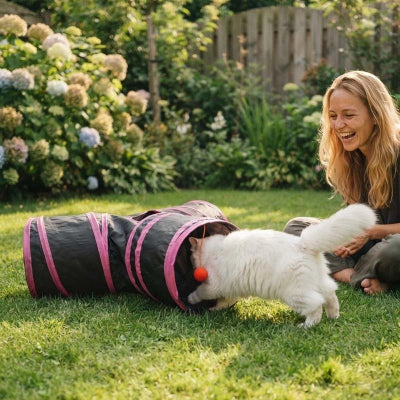 chat joue avec Tunnel Chat dans jardin avec femme assise