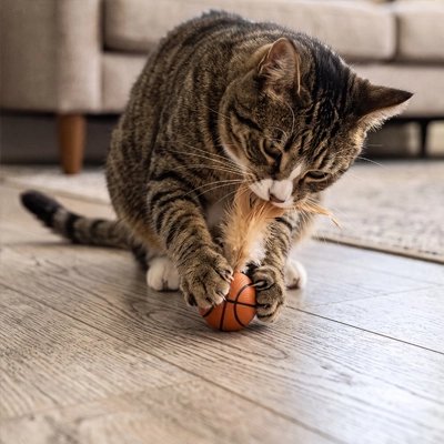 chat mord plume Balle pour chat basketball