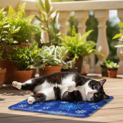 Chat noir et blanc sur tapis rafraîchissant bleu marine 